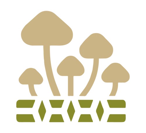 Exhibitor Image