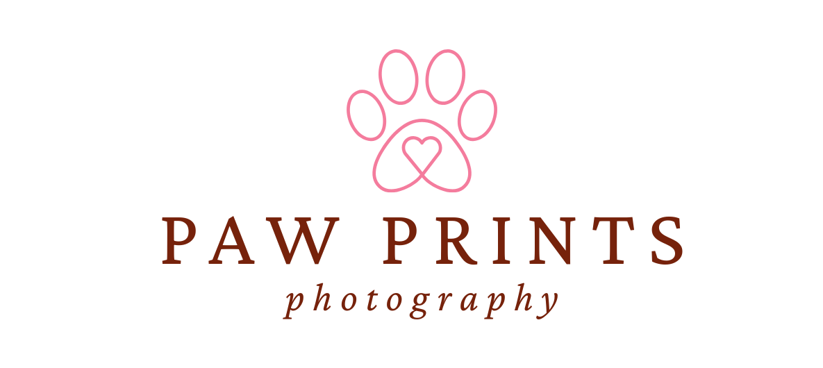 Exhibitor Image