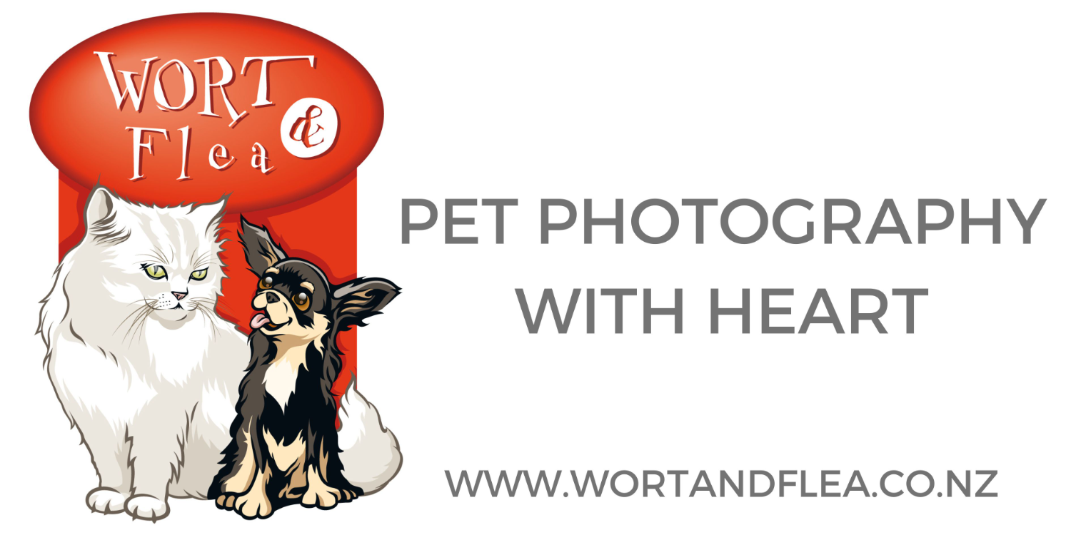 Exhibitor Image
